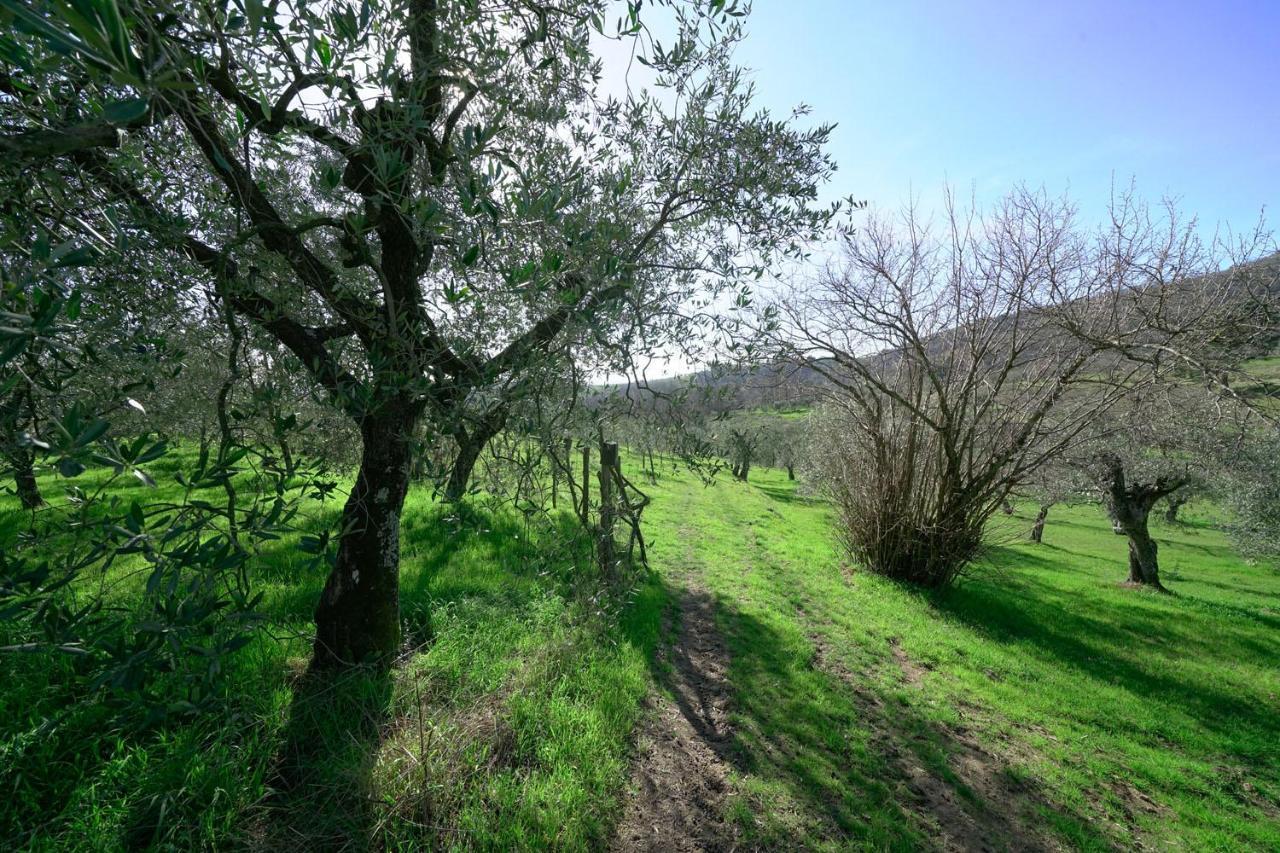 Il Podere La Casina Monsummano Terme Exterior foto