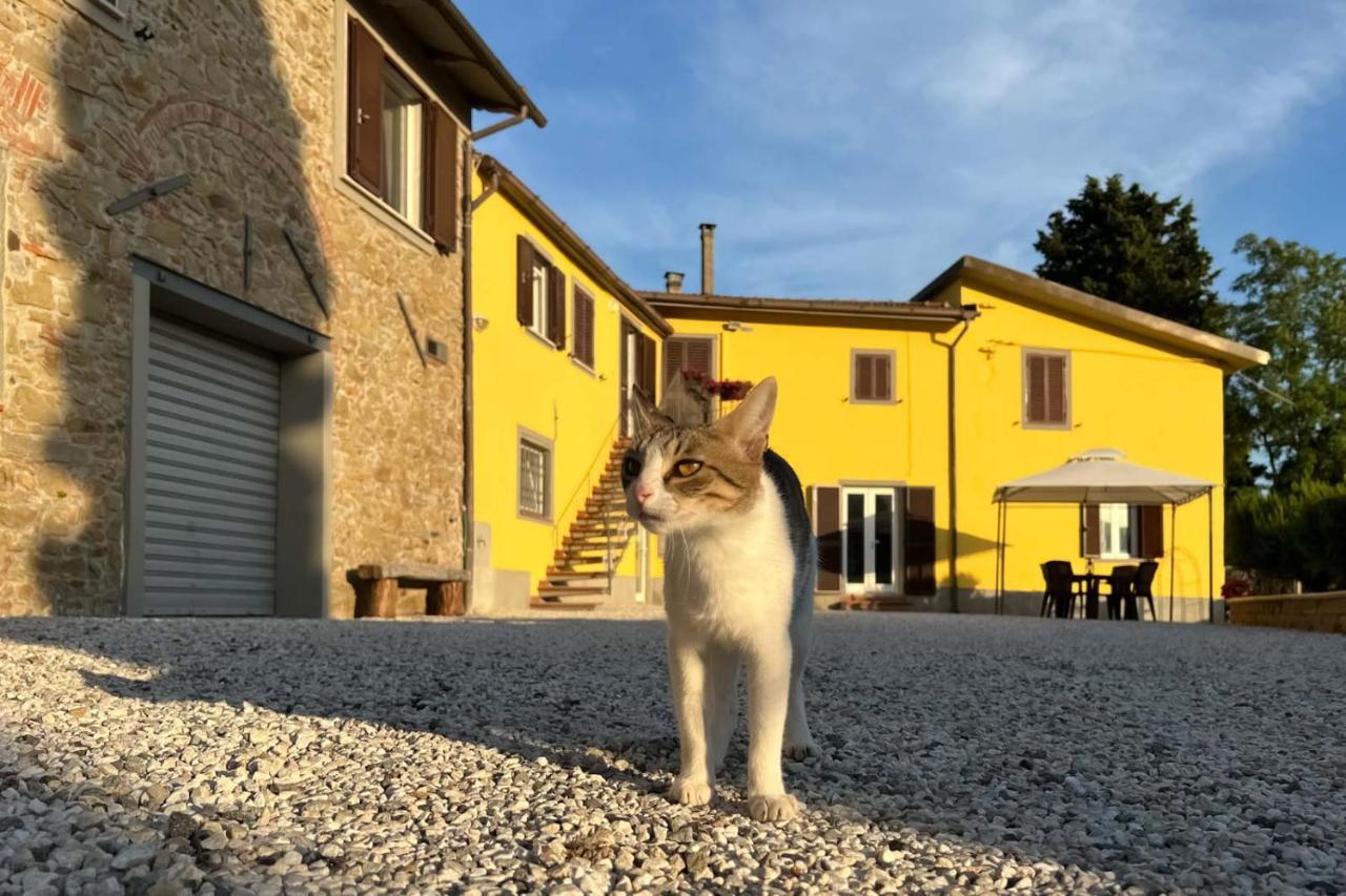 Il Podere La Casina Monsummano Terme Exterior foto